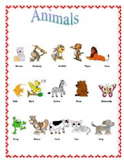 Animals