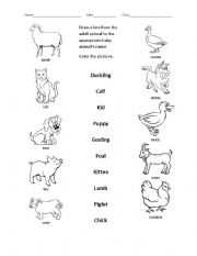 English Worksheet: Baby Animal Names (2)