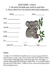 English worksheet: Body Parts - Koala