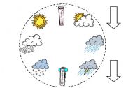 English Worksheet: weather wheel