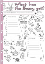 English Worksheet: What has the Bunny got?