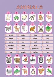 English Worksheet: Animals