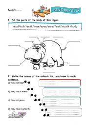 English Worksheet: ANIMALS