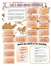 English Worksheet: Lets chat about ANIMALS