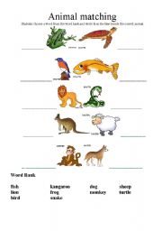 Animals Naming