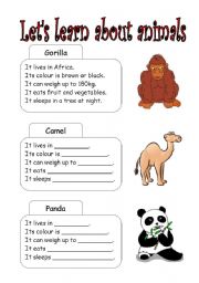 lets learn about animals