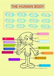 English Worksheet: The human body - vocabulary