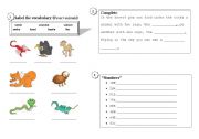 English worksheet: VISITING THE ZOO