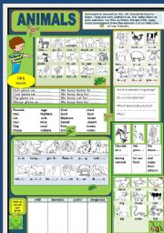 English Worksheet: Animals