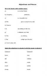 English worksheet: Identify the adjectives and nouns