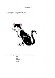 English Worksheet: PARTS OF THE BODY