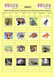 English Worksheet: Plurals - animals