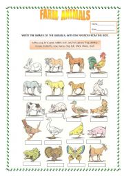 Farm animals