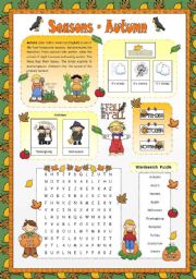 English Worksheet: Seasons - Autumn