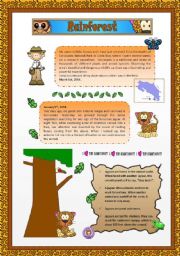 English Worksheet: Rainforest 