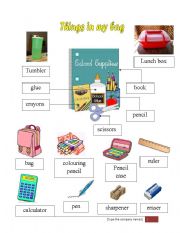 English Worksheet: things in my bag