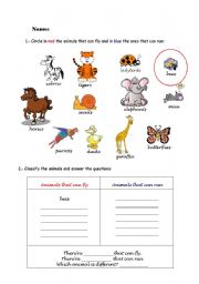 English worksheet: animals_fly_run