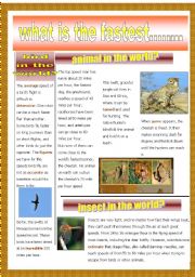 English Worksheet: THE FASTEST ANIMALS