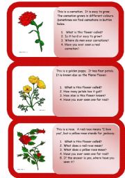 flowers - mini comprehensions