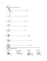 English Worksheet: can -cant