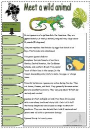 English Worksheet: The Green Iguana