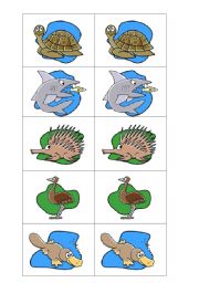 English worksheet: Aussie animals