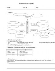 English worksheet: sense organs