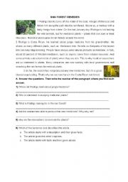 English worksheet: reading