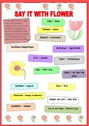 English worksheet: Say it with Flower