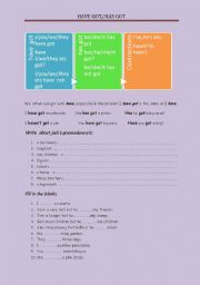 English Worksheet: have/has got