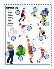 English Worksheet: Sports