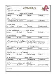 English Worksheet: vocabulary quize