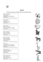 English Worksheet: guess the animal