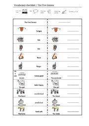 English worksheet: The Five Senses