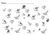 English worksheet: Animal Find It