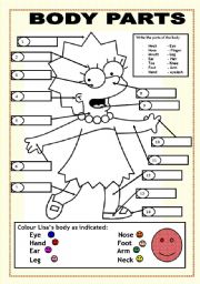 English Worksheet: body parts