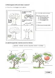 English Worksheet: In Autumn Times Part 2