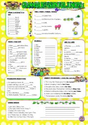 English Worksheet: GRAMMAR REVISION FOR JUNIORS 1