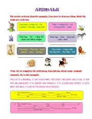 Nouns & Adjectives for describing animals