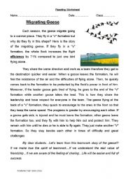 English Worksheet: Migrating Geese