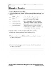 English Worksheet: World History