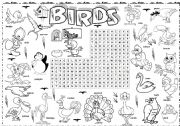 English Worksheet: bird series