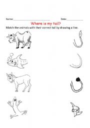 English worksheet: where is my tail??? animals with tail
