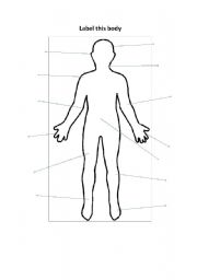 English worksheet: label this body