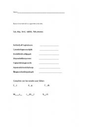 English Worksheet: pets