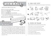 English Worksheet: Mammals