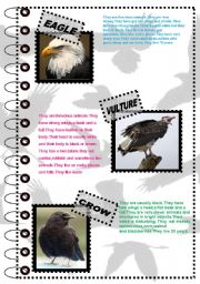 English Worksheet: FACT ABOUT ANIMALS SERIES 1 (birds 1 )