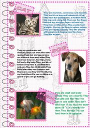 English Worksheet: FACTS ABOUT ANIMALS 2 (domestic animals 1)