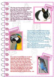 English Worksheet: FACTS ABOUT ANIMALS 3 (domestic animals 2)