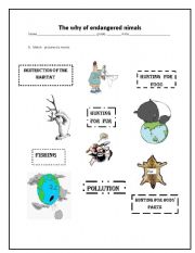 English worksheet: Why are animals in danger